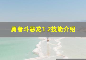 勇者斗恶龙1 2技能介绍